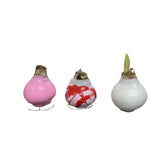 Flower White Wax, White Wax Red & Pink Splatter, Solid Pink Valentine's