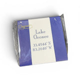 LO Coordinates Blue Stripe Cocktail Napkins