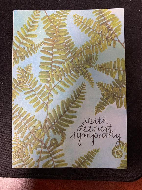 Sympathy Ferns