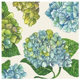 CN Hydrangea | Pack of 20