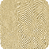 Coaster 8" Platinum Lizard