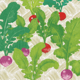 Radish Patch Cocktail Napkin