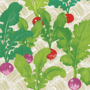 CN Radish Patch