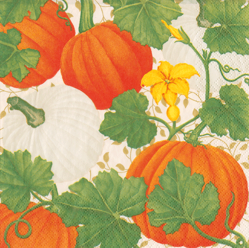 CN Pumpkin Chintz White