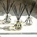 Reed Oil Refill Kit