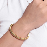 Safari Hinged Bangle-Anabel Aram 