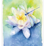 Dragonfly and Waterlily Greeting Card