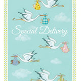 Special Delivery Baby Shower Card