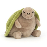 Timmy Turtle