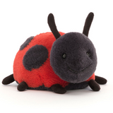 My Name is Layla Ladybird