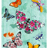 HB Butterflies on Blue