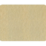 Placemat Platinum Lizard  Set of 4 $78.00