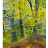 Note Card - Sun Dappled Forest
