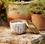 Citronella Grove Poured Candle Tine, gold lid 6.5oz