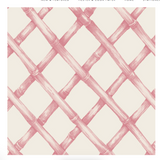 CN Pink Lattice - pk of 20