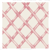 CN Pink Lattice - pk of 20