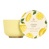Lemon Leaf Poured Candle Tin, Printed Lid