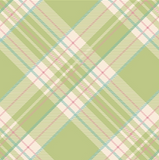 CN Bright Green Plaid Cocktail Napkin | Pack of 20