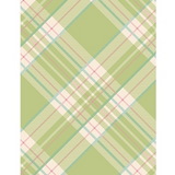 GT Bright Green Plaid Guest Napkin | Pack of 16
