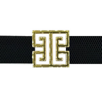 a black belt with a gold metal buckle