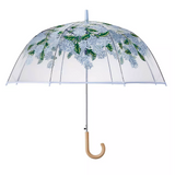 Hydrangea Clear Umbrella