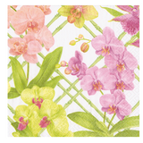 LN Orchid Conservatory Napkin