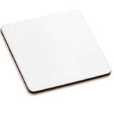 Felt Backed Lizard Coasters | Ivory