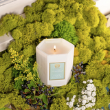 Elderflower Candle 9oz