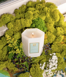 Elderflower Candle 9oz