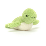 Fluffy Turtle