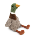 River Mallard Duck