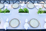 Mom's Garden Plate Liners
