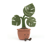 Amuseables Monstera Plant