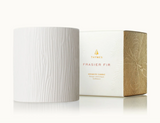 Frasier Fir Medium Ceramic Gilded Candle