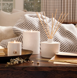 Frasier Fir Medium Ceramic Gilded Candle