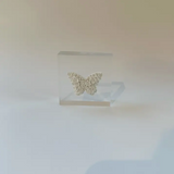 White Butterfly Intaglio 3x3 Acrylic