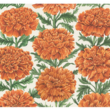 a close up of flowers