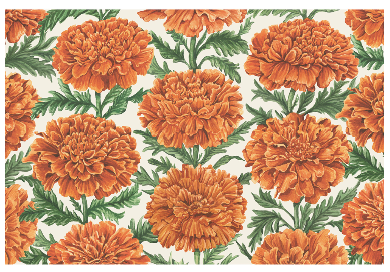 a close up of flowers