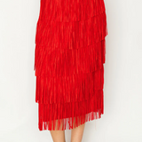 Jayleen Fringe Skirt