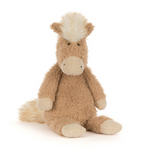 Canterneigh Pony