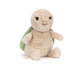 Thimble Turtle