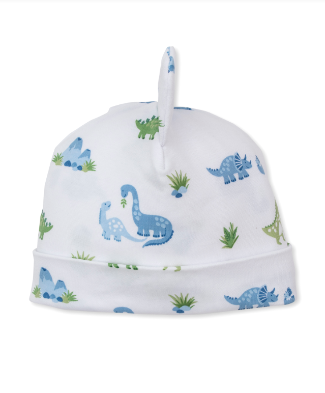 Baby Hat | Dinosaur Delight