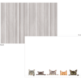 Kitties Correspondence Cards