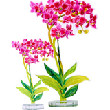 Aphrodite Orchid | Large