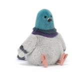 Strutton Pigeon