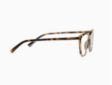 Bengal Reading Glasses