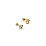 Screwback Stud Earrings - Paw Print CZ Gold_LinnyCo_LINNY4473