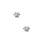Screwback Stud Earrings - Paw Print Silver_LinnyCo_LINNY4063