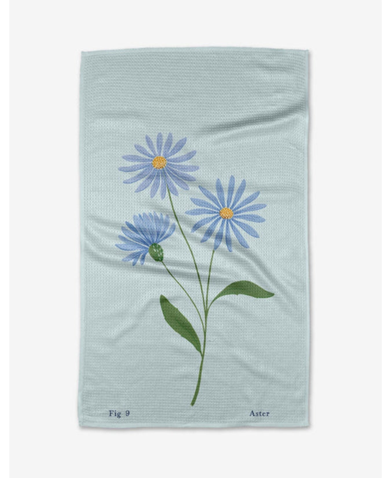 SeptemberAster_Geometry_TT-MF-september-aster