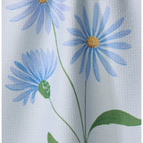 SeptemberAster_Geometry_TT-MF-september-aster